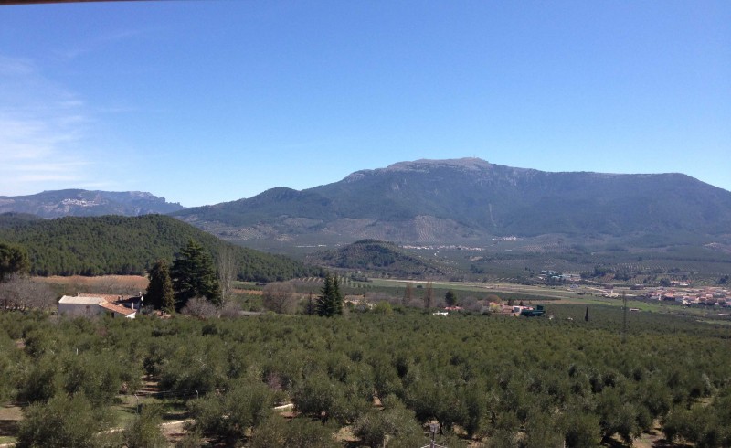 paisaje