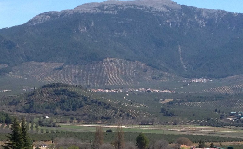 el yelmo